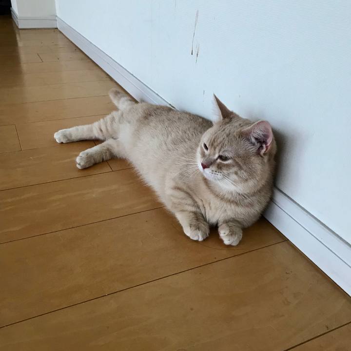 C24f15ab f9c5 4429 bf9e d995a3cd1e3d 1526510479642