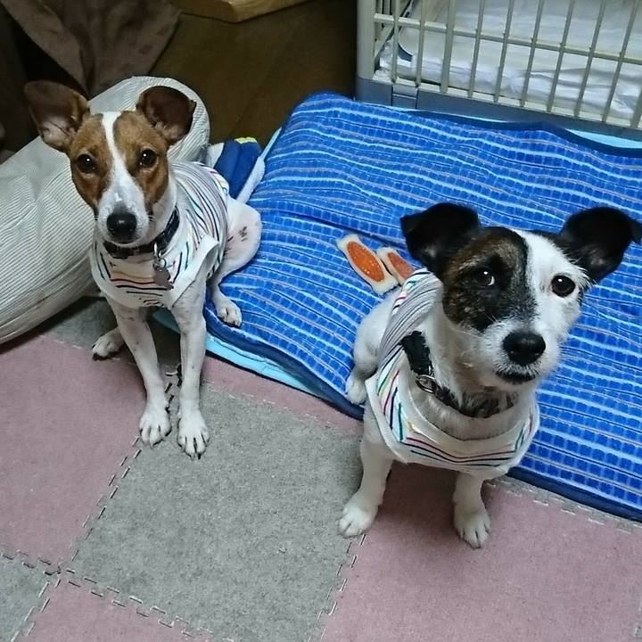 C24f4888 1bd8 4119 9e65 593a884197ec 1532556029377