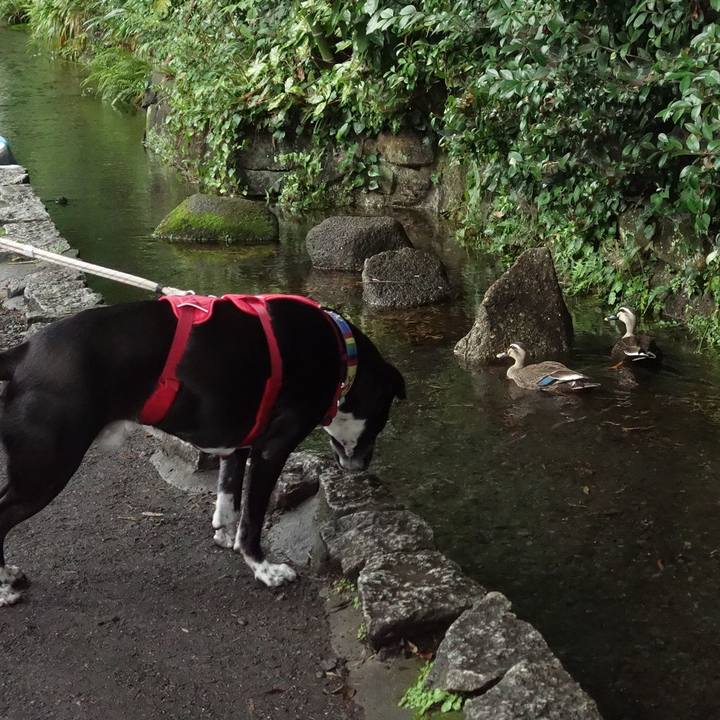 C24f80cd 7d8e 4274 a3ff cededc10a2bc 1686360440982