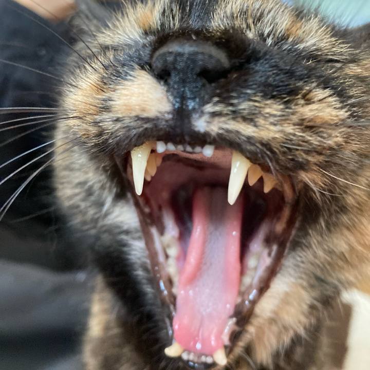 C24fc160 bbc3 48d3 9c34 15c8fdc13c66 1635820485874