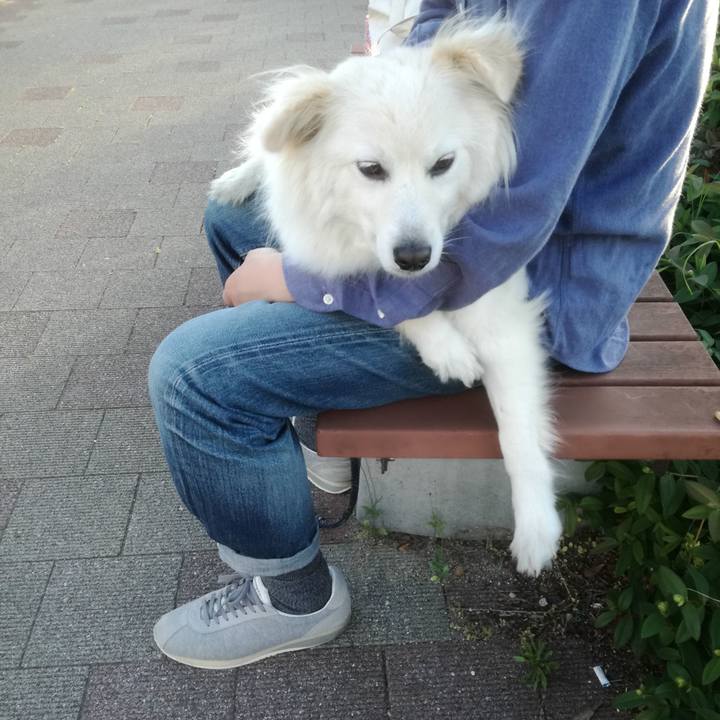 C24fc2cc dcfd 4de6 91fc c1e22c95e677 1526120232303