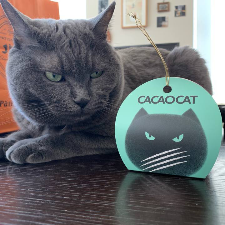 C24fe182 27d6 4f38 bc4c 180b88083394 1647212692166