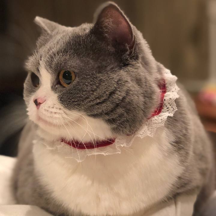 C24ff518 a6db 4f96 9eed 2514d59626fb 1521994993327