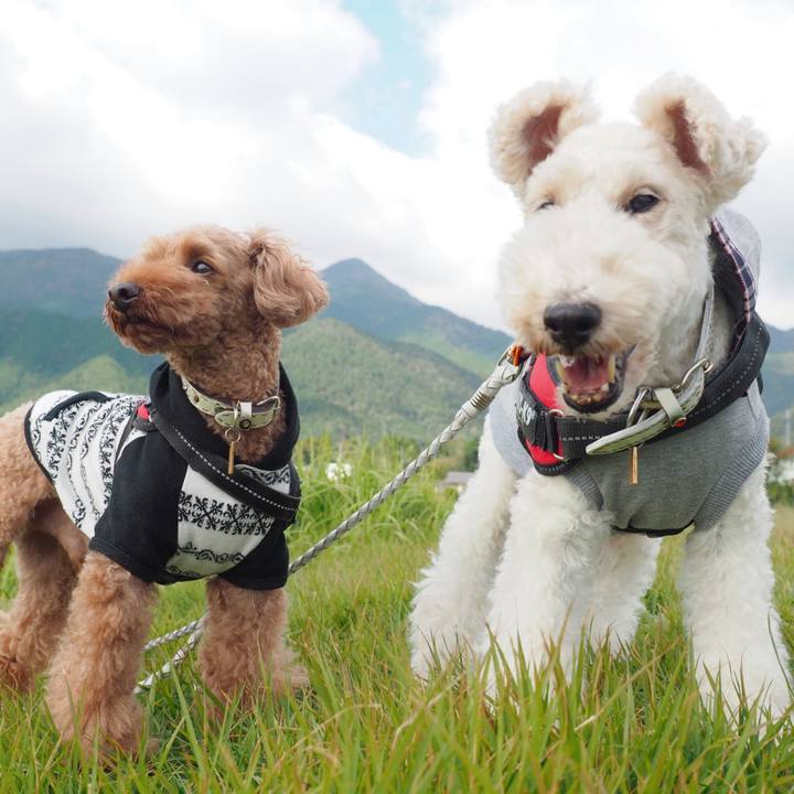 C24ffd36 3326 4253 b24c 9f6b619e882b 1571717451535