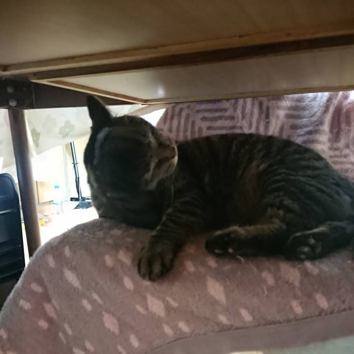 C25043c4 a346 4fef 99f6 6ac2c53792e7 1648297322964