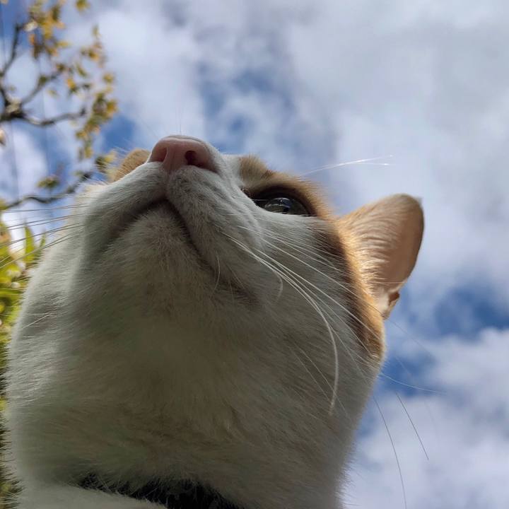 C2505cc9 3647 4225 aae3 d0ef55c1fa41 1540955190276