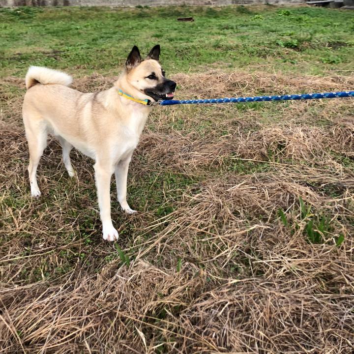 C2506be8 7569 47c5 a529 58d023ecf8a4 1574772871024