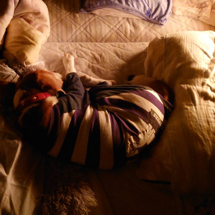 C2506e80 7d0c 48b8 82e5 a87bf4783a53 1665583897175