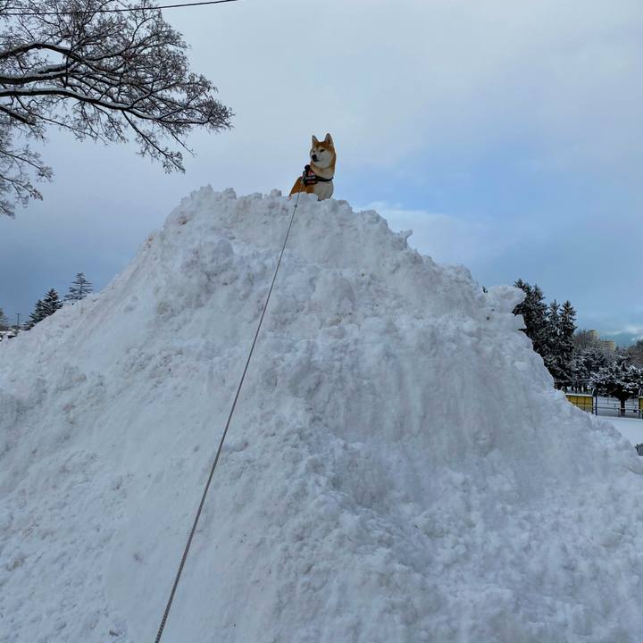 C250b358 d23a 4819 b360 4f42ba559d11 1609638177606