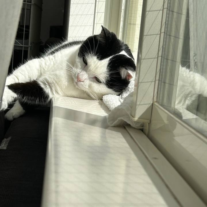 C250b95c 49da 4a7f 82d3 0063ac025546 1774394836878