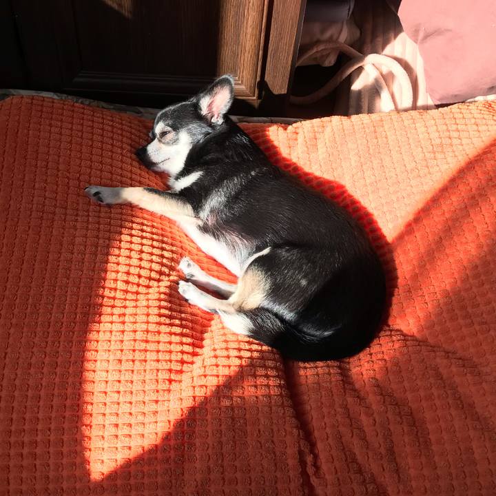 C250d6b2 9e06 440c aca5 608c4fda08a8 1540022418634