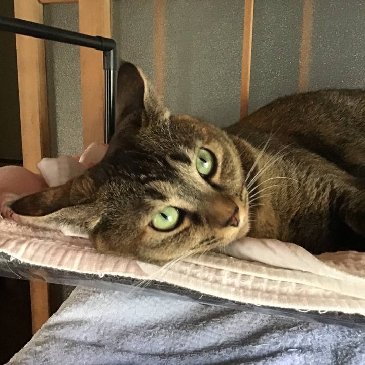 C250e25a 7b35 4c0e 97c6 380a3f5146c9 1632477738180