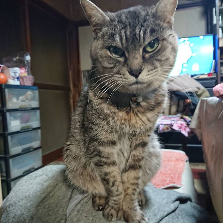 C250fb88 ed35 4d53 89ba 7afe3d0769f9 1576531848060