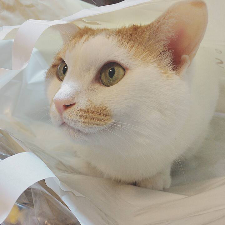 C2512ca3 e959 4dbc 93c6 03fe850cda51 1513516530398