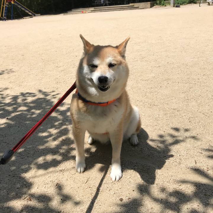 C2516b9c 80cf 4b60 b244 db9c834b274c 1526102830788