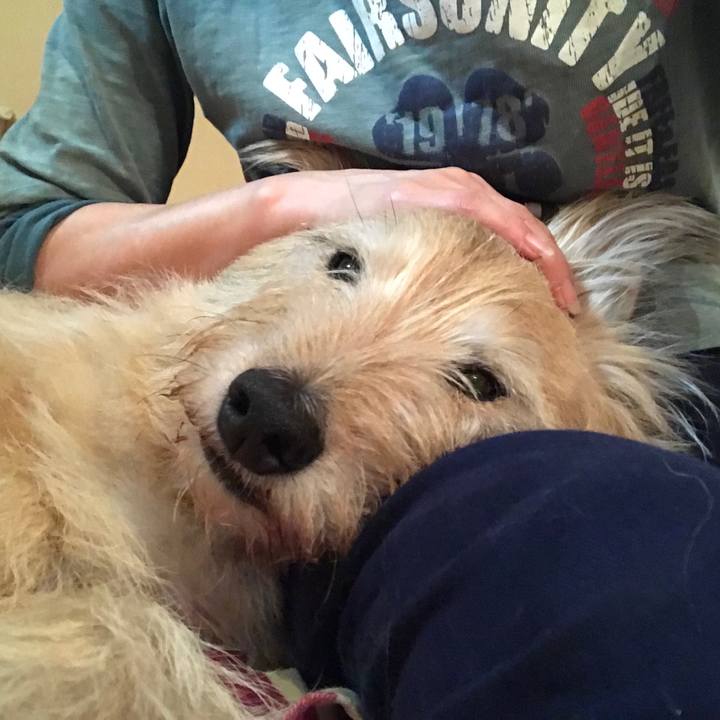 C251a059 4aef 417f b029 7002093de4f1 1539959133567