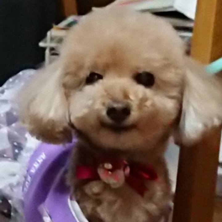 C251bf32 50b3 478e 9824 5586e1e140fe 1606025927645