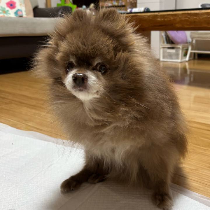 C251fe86 46b9 4e9a a6a0 d8774017c41c 1771367864388