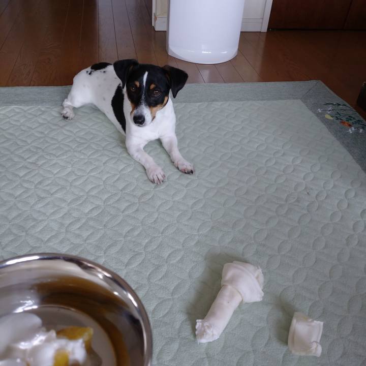 C2521876 3f14 406e 83f2 ca281b2d51d8 1590544860499