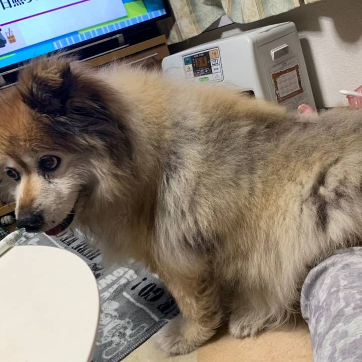 C2521fc5 4ac4 4d27 b78a cc8f02f2f25a 1594519684830