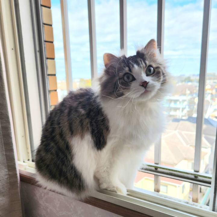 C25225f4 747b 4a14 934d b13518f52b60 1742473174269