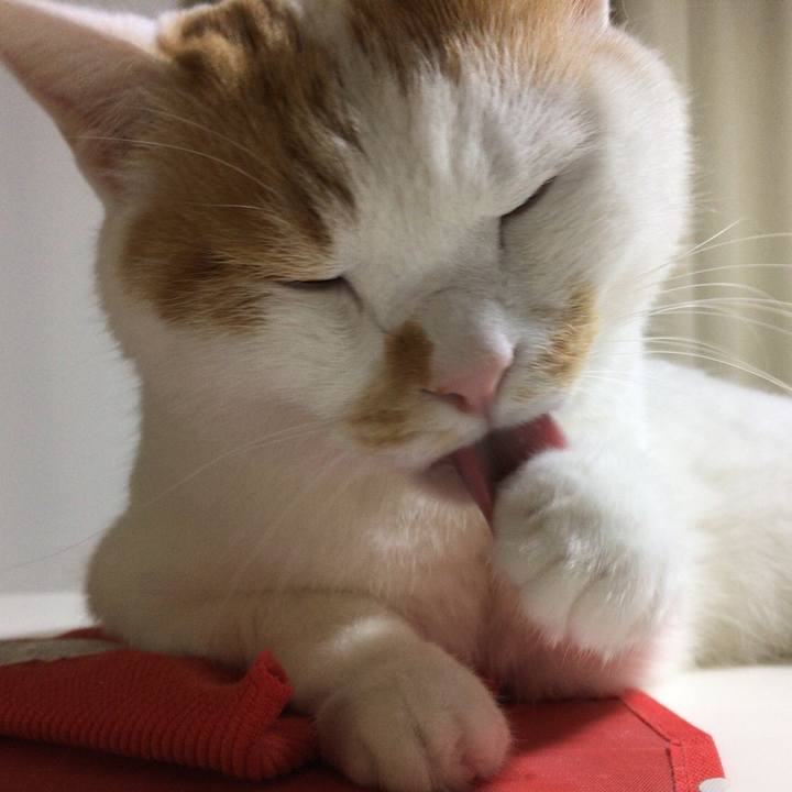 C252e6f7 6ac5 4f59 9160 f7509dc949b9 1507813754911