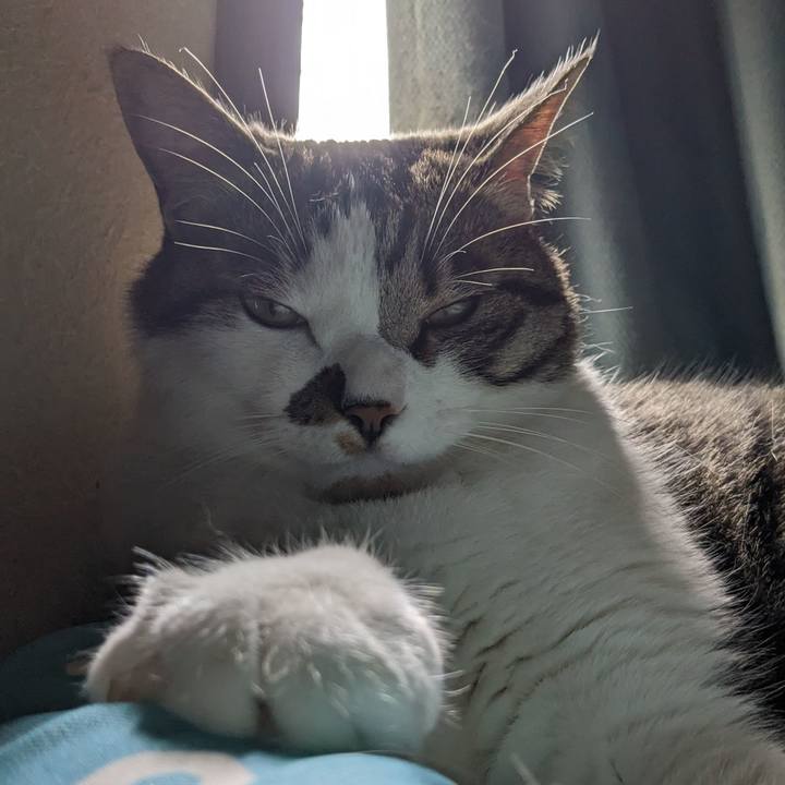 C2530cf8 9789 4675 8ff5 3f7a8233081f 1685321399826