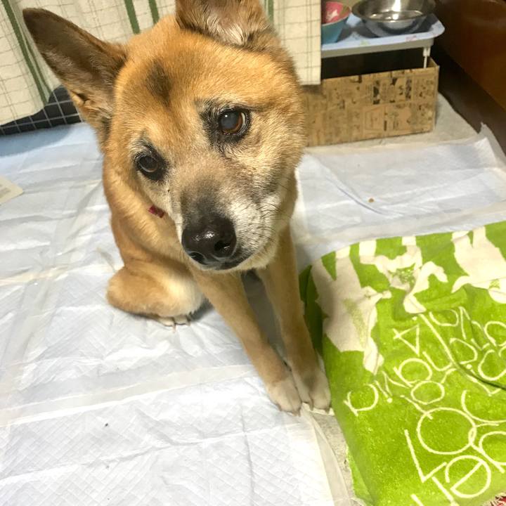 C2532042 18a3 4a0c 989a 938fdc364a77 1526984739495