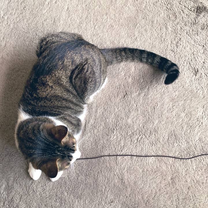 C253aba3 f7c3 4794 a510 7ec19c85d9cb 1553071788331