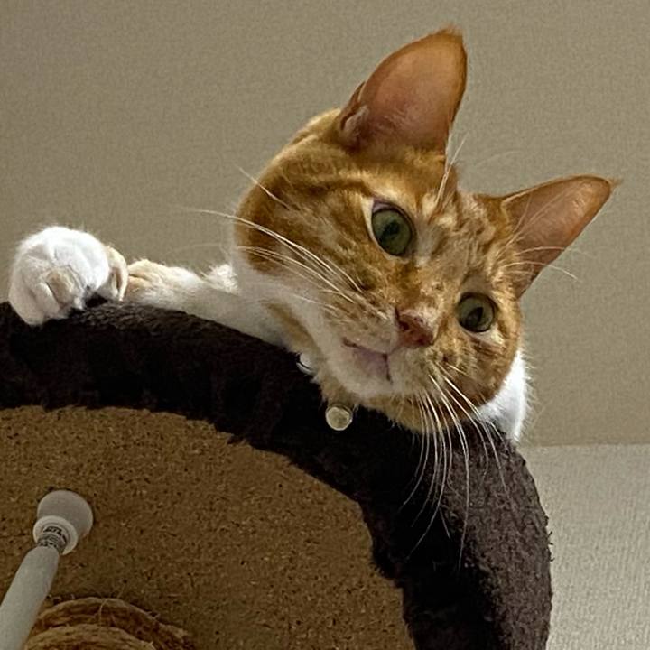 C253ac8a ea58 4e21 82fc ee68e572d6d8 1654943870546