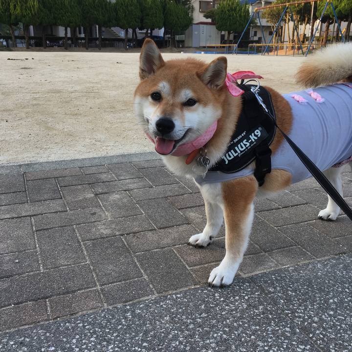 C253af95 44eb 492d 91f1 eaa2c840eaf8 1533156612131