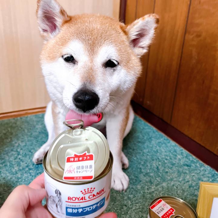 C2540764 f48e 43be 8935 141f61e7c5d2 1721616018940