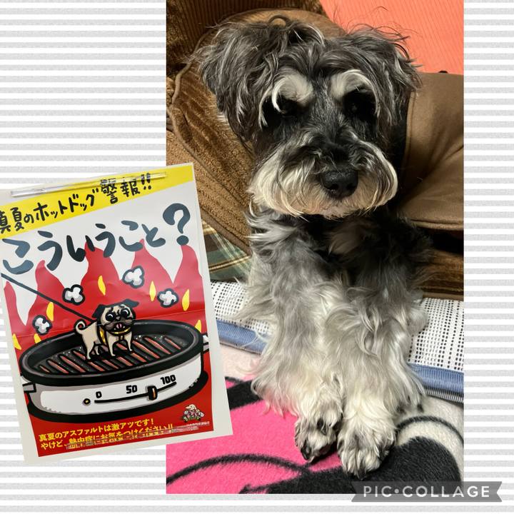 C2540920 947b 4277 ab69 4a7fd69ed872 1718286019344