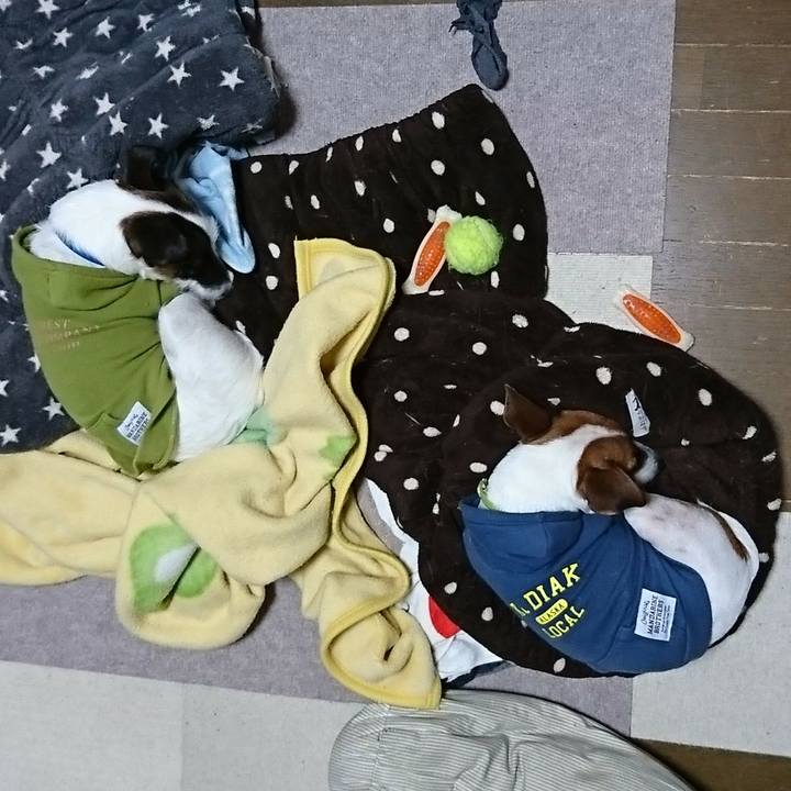 C2540a3a 02ec 4a65 9509 6fe600f63a49 1579331850563