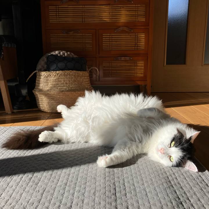 C254239e d505 4e2c 8ff5 d0b18a04ab4f 1767400396222