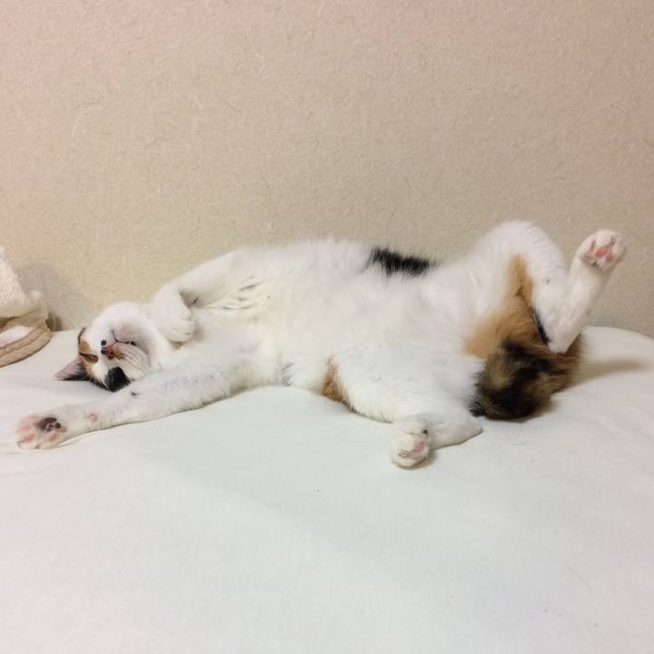 C2543d01 9da2 41bc ac05 329af8101266 1568087085888