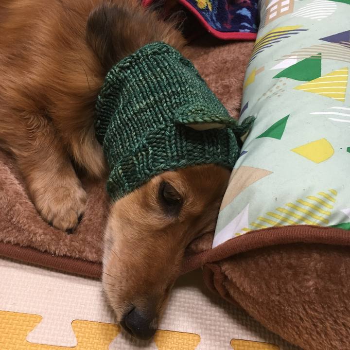 C25458b6 18a7 4e0e a8f3 f49ae936b184 1547301331053