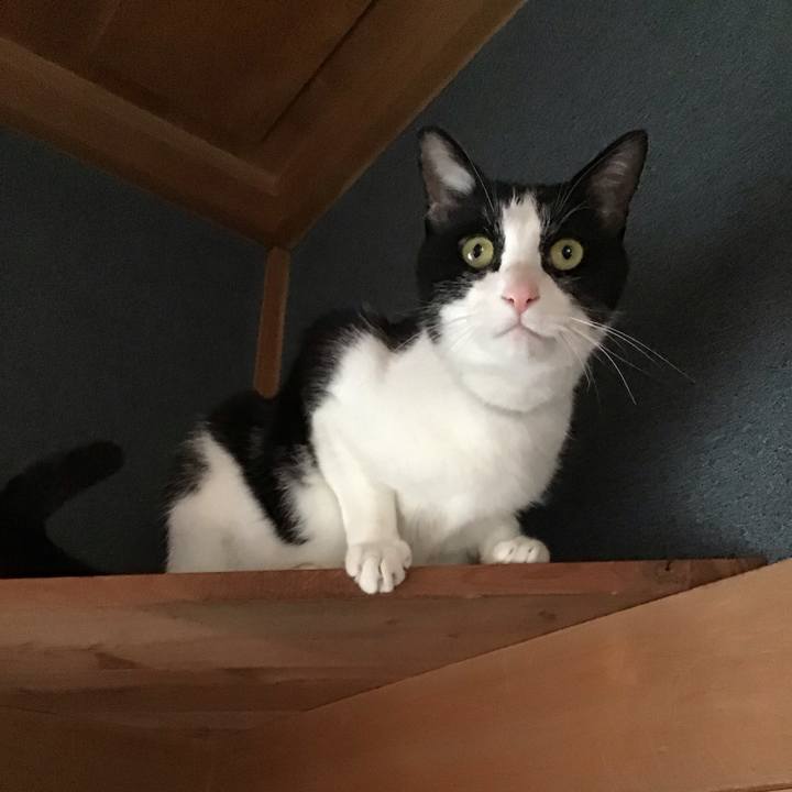 C2548184 c4ef 4f57 8735 cb0b5752309f 1716096456682