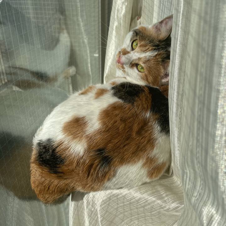 C254a6ab 10ff 4464 93e2 7fa6dad1128b 1607834620845