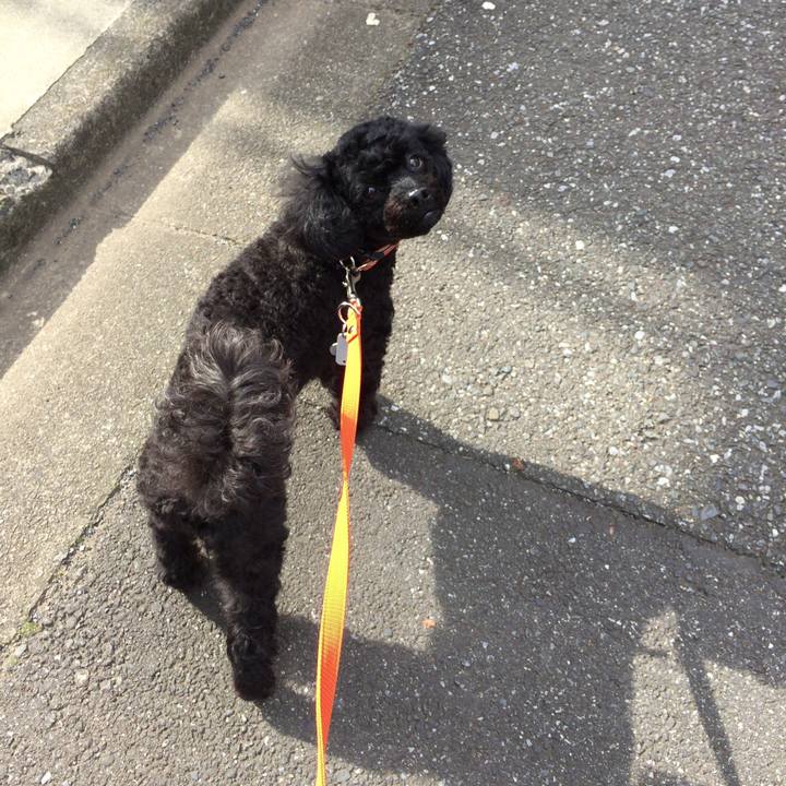 C254dac8 835b 4d9f 8421 2f80a085ac57 1510549293388