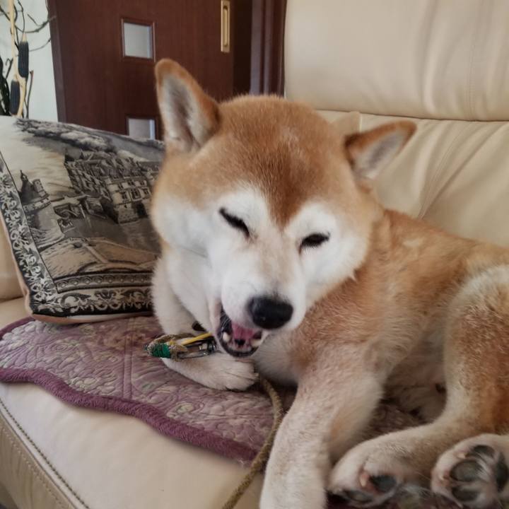 C254e53d 2efb 44fe 85cf e9e11ef7c4a3 1627015375549