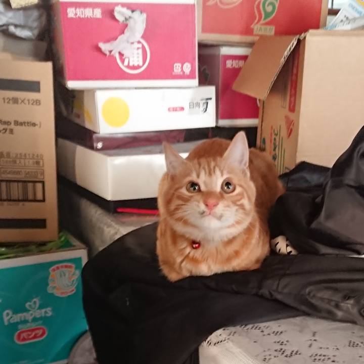 C254ea71 8327 4448 8393 ce46eb80b463 1637111621411