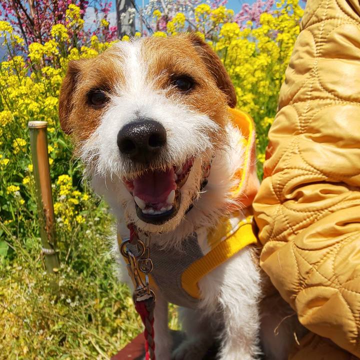 C254ffc9 80fd 4927 a036 f8b0c02b0bc2 1555126767335