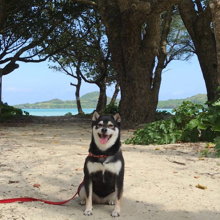 C2552ccb 6813 4c8f a60a 10cc52cf3751 1522115518350