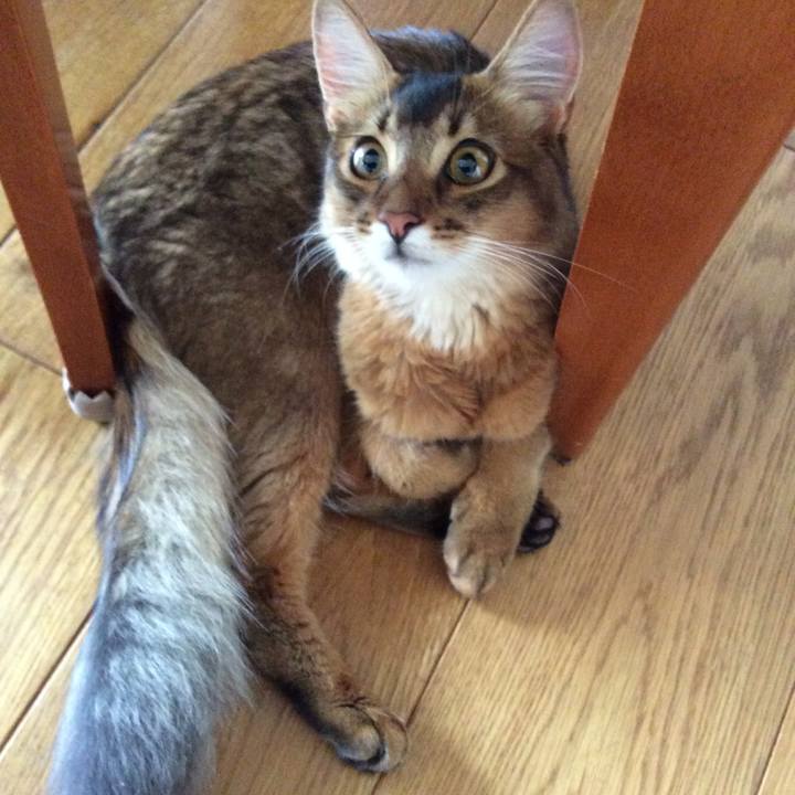 C255453e f146 4781 a7cb 8cdf5653607d 1565561755279