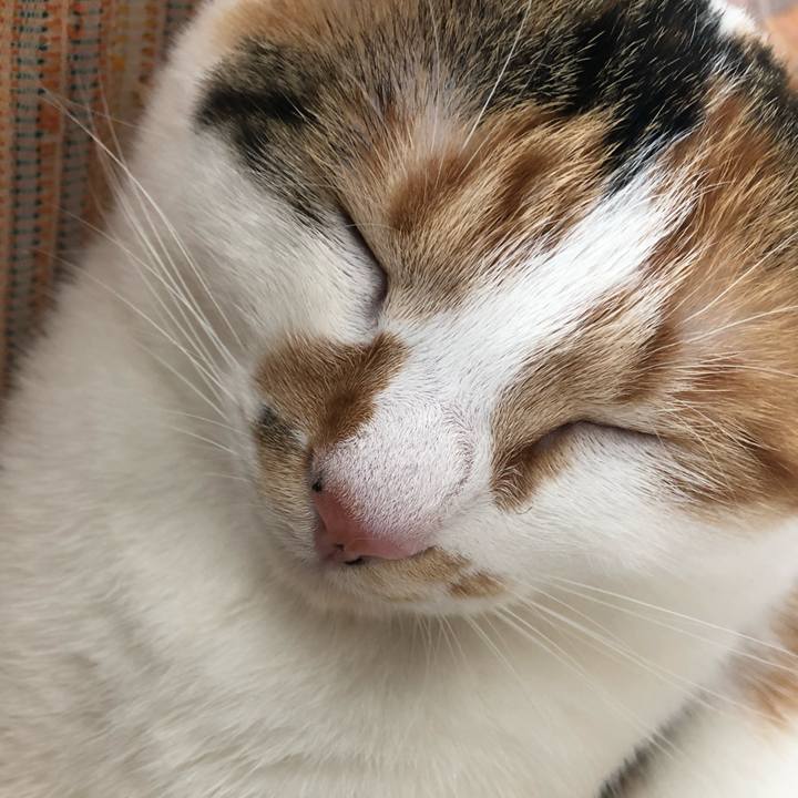 C25561f0 10aa 408f a261 cf7172914298 1592027120613