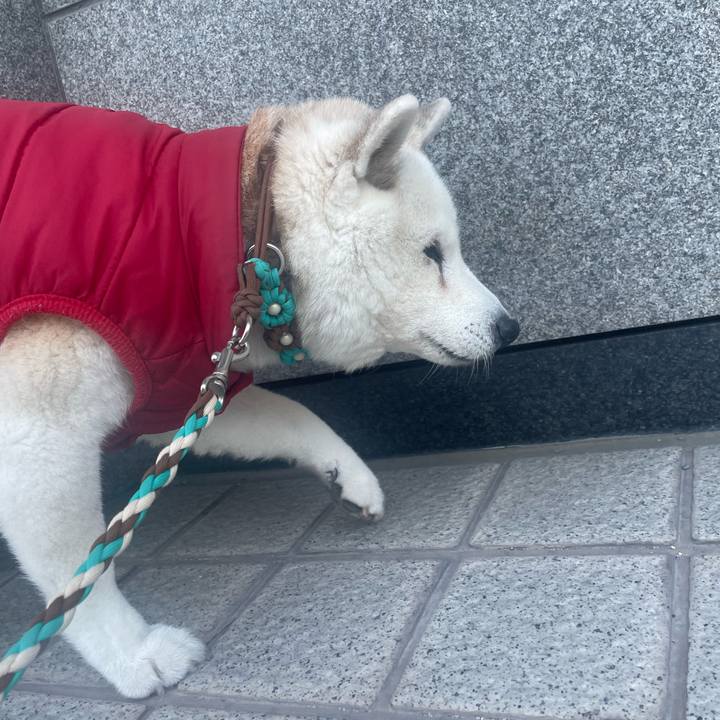 C2559d96 b26c 486a ad95 2339d946e961 1736052703453