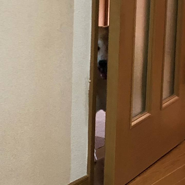 C255cf5e 1921 4408 9eb4 fd7495fc0cf0 1567729966890