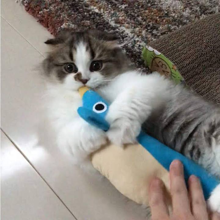 C2563548 e42e 479d af96 a0c0d3f0e246 1763166106127