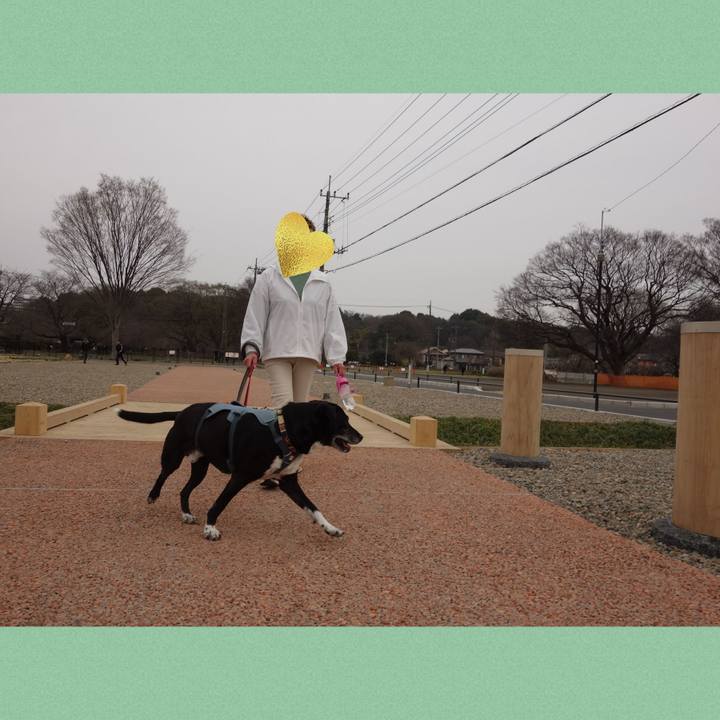 C2567c9d 1852 41a5 9f31 62010d87e2dd 1742778063146